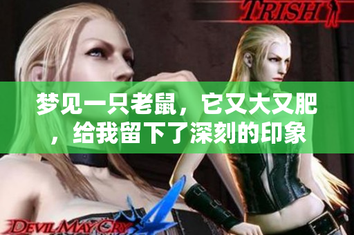 梦见一只老鼠，它又大又肥，给我留下了深刻的印象