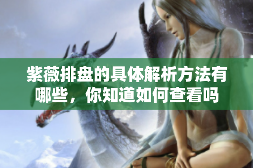 紫薇排盘的具体解析方法有哪些，你知道如何查看吗