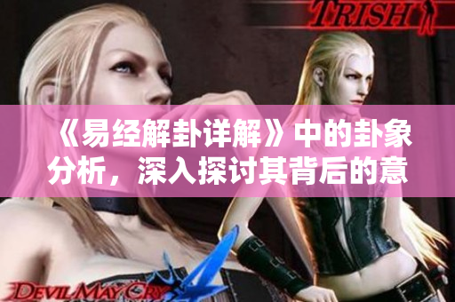 《易经解卦详解》中的卦象分析，深入探讨其背后的意义与智慧