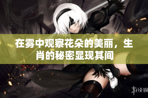 在雾中观察花朵的美丽，生肖的秘密显现其间