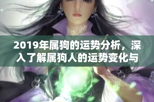 2019年属狗的运势分析，深入了解属狗人的运势变化与挑战