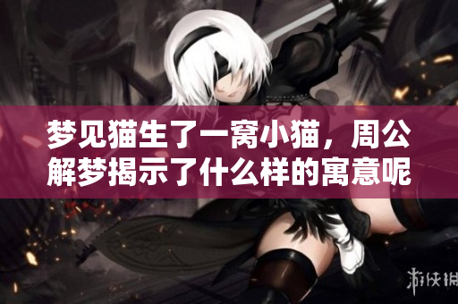 梦见猫生了一窝小猫，周公解梦揭示了什么样的寓意呢