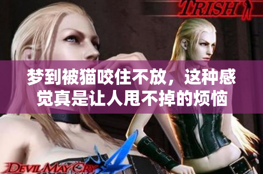 梦到被猫咬住不放，这种感觉真是让人甩不掉的烦恼