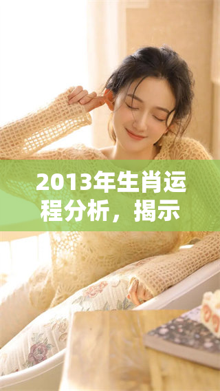 2013年生肖运程分析，揭示各生肖在运势上的变化与发展