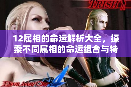 12属相的命运解析大全，探索不同属相的命运组合与特点