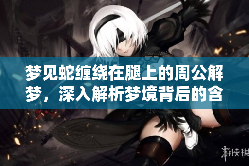 梦见蛇缠绕在腿上的周公解梦，深入解析梦境背后的含义与象征