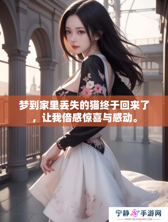 梦到家里丢失的猫终于回来了，让我倍感惊喜与感动。