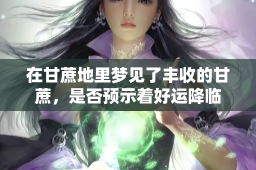 在甘蔗地里梦见了丰收的甘蔗，是否预示着好运降临