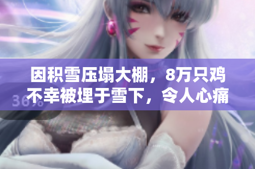 因积雪压塌大棚，8万只鸡不幸被埋于雪下，令人心痛