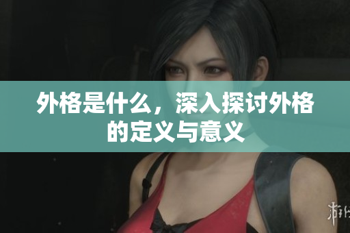 外格是什么，深入探讨外格的定义与意义