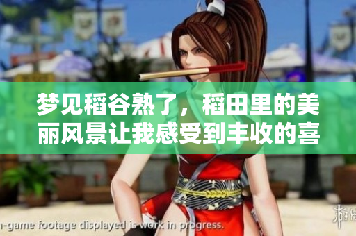 梦见稻谷熟了，稻田里的美丽风景让我感受到丰收的喜悦