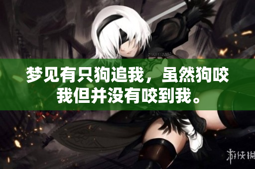 梦见有只狗追我，虽然狗咬我但并没有咬到我。