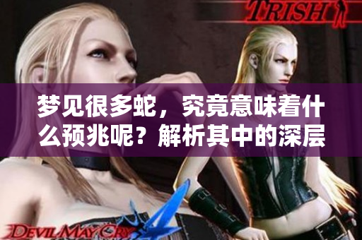 梦见很多蛇，究竟意味着什么预兆呢？解析其中的深层含义。