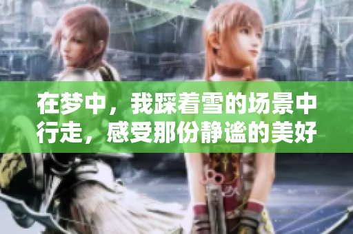 在梦中，我踩着雪的场景中行走，感受那份静谧的美好。