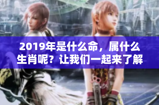 2019年是什么命，属什么生肖呢？让我们一起来了解一下吧！