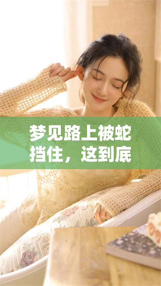 梦见路上被蛇挡住，这到底是什么预兆呢？