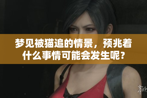 梦见被猫追的情景，预兆着什么事情可能会发生呢？