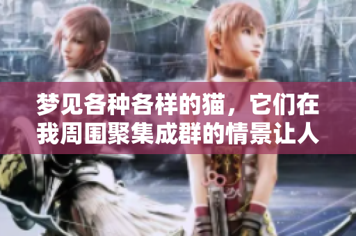 梦见各种各样的猫，它们在我周围聚集成群的情景让人难忘