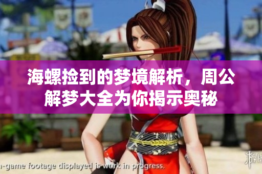 海螺捡到的梦境解析，周公解梦大全为你揭示奥秘