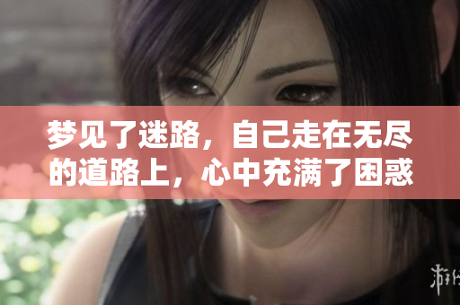 梦见了迷路，自己走在无尽的道路上，心中充满了困惑与不安。