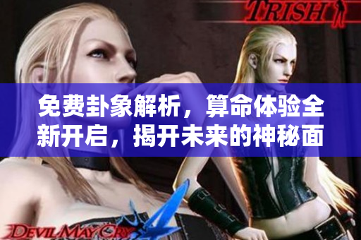 免费卦象解析，算命体验全新开启，揭开未来的神秘面纱