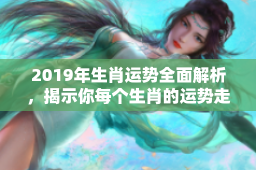 2019年生肖运势全面解析，揭示你每个生肖的运势走向
