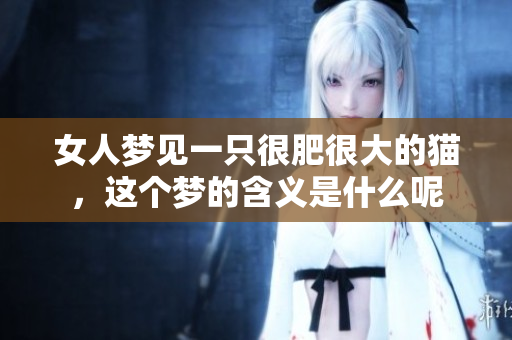 女人梦见一只很肥很大的猫，这个梦的含义是什么呢