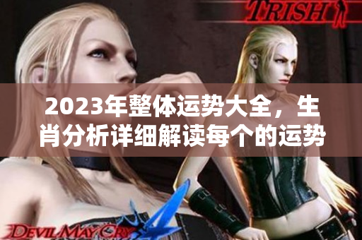 2023年整体运势大全，生肖分析详细解读每个的运势前景