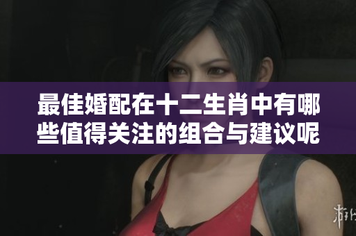 最佳婚配在十二生肖中有哪些值得关注的组合与建议呢