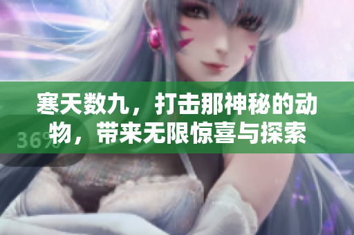 寒天数九，打击那神秘的动物，带来无限惊喜与探索