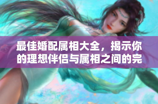 最佳婚配属相大全，揭示你的理想伴侣与属相之间的完美匹配关系