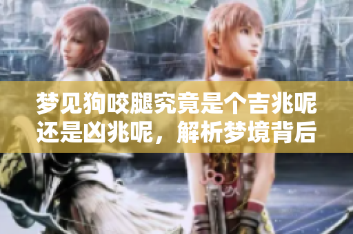 梦见狗咬腿究竟是个吉兆呢还是凶兆呢，解析梦境背后的含义。