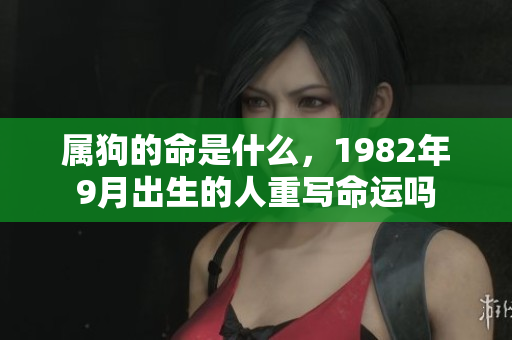 属狗的命是什么，1982年9月出生的人重写命运吗