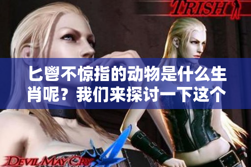 匕鬯不惊指的动物是什么生肖呢？我们来探讨一下这个有趣的问题。