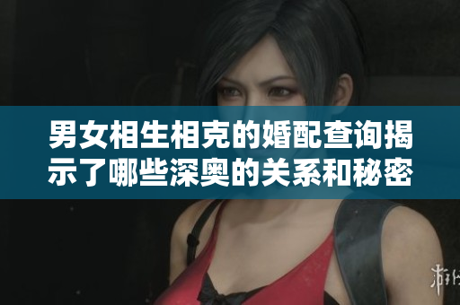 男女相生相克的婚配查询揭示了哪些深奥的关系和秘密