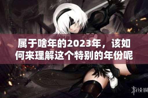 属于啥年的2023年，该如何来理解这个特别的年份呢