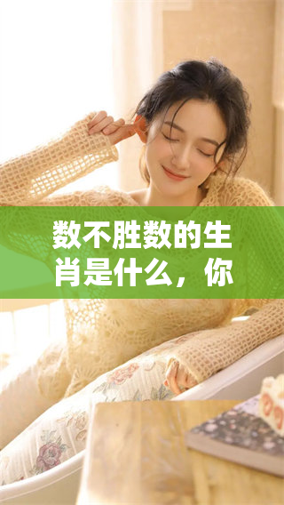 数不胜数的生肖是什么，你知道吗 让我们一起来揭晓这个谜题吧！
