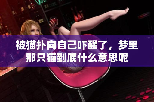 被猫扑向自己吓醒了，梦里那只猫到底什么意思呢