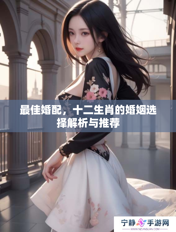 最佳婚配，十二生肖的婚姻选择解析与推荐