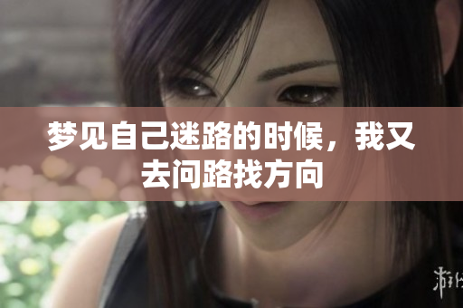 梦见自己迷路的时候，我又去问路找方向