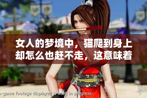 女人的梦境中，猫爬到身上却怎么也赶不走，这意味着什么呢
