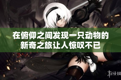 在俯仰之间发现一只动物的新奇之旅让人惊叹不已