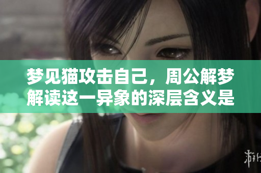 梦见猫攻击自己，周公解梦解读这一异象的深层含义是什么呢