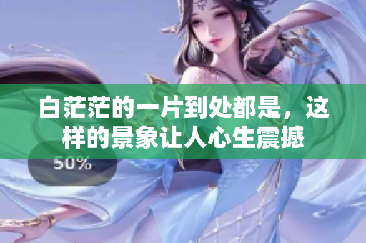 白茫茫的一片到处都是，这样的景象让人心生震撼