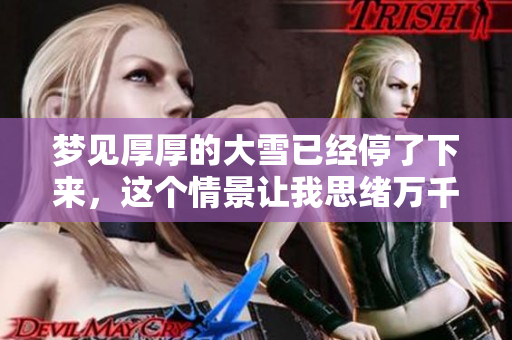 梦见厚厚的大雪已经停了下来，这个情景让我思绪万千