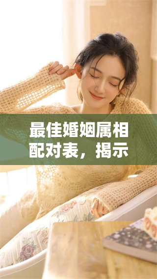 最佳婚姻属相配对表，揭示如何选择合适的伴侣组合
