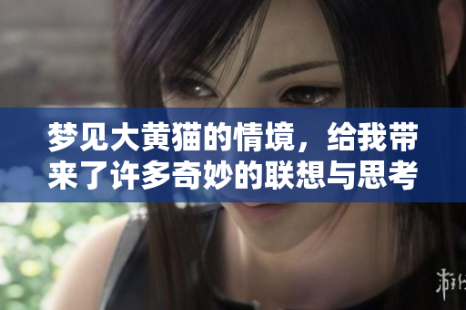 梦见大黄猫的情境，给我带来了许多奇妙的联想与思考