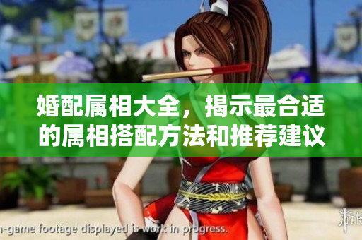 婚配属相大全，揭示最合适的属相搭配方法和推荐建议