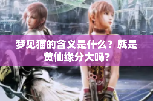 梦见猫的含义是什么？就是黄仙缘分大吗？