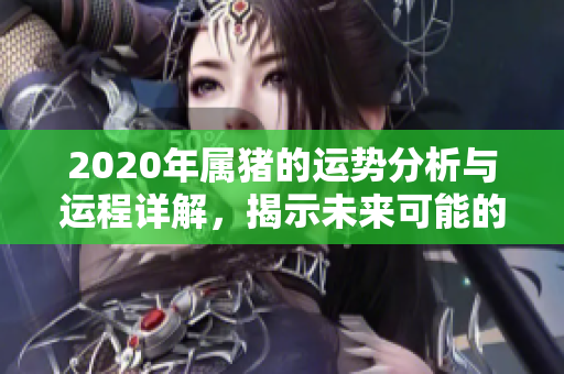 2020年属猪的运势分析与运程详解，揭示未来可能的发展方向